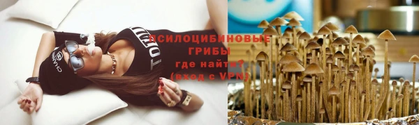 МДПВ Медвежьегорск