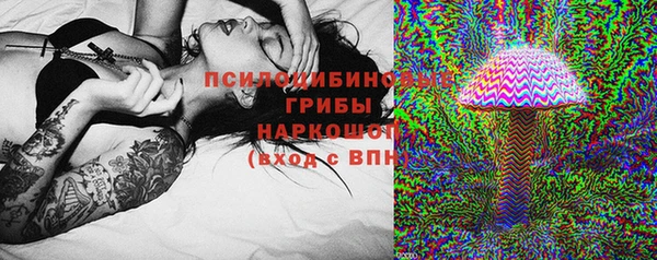скорость Медвежьегорск